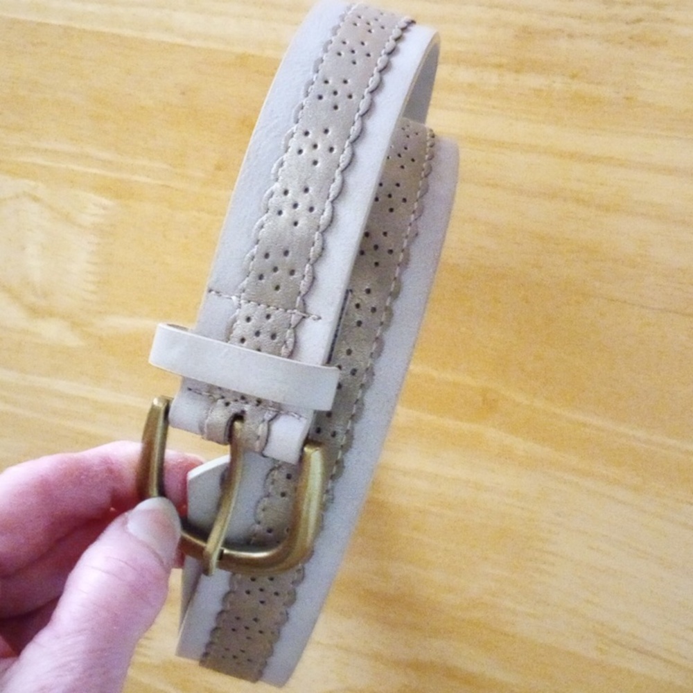 Light Beige and Metallic Pewter Belt M